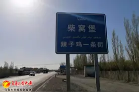 柴窝堡辣子鸡一条街：从“爆红”迈向“长红”图片
