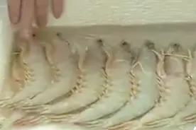 选虾的小窍门：一招教您分辨鲜虾，再也不怕买到不新鲜的虾了视频封面