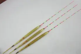 野钓过程中浮漂的选择很重要图片
