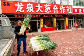 可以生吃的大葱：正宗北京烤鸭离不开它，最高可达两米重1.5公斤图片