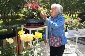 散文 | 张 弛：母亲的晚年图片
