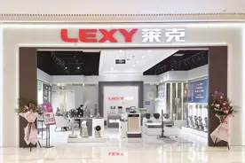 莱克电气坚持无负债经营账面现金32亿 拟超12亿并购加码新能源汽车零部件业务图片
