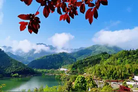 中国黄山龙裔公墓园区优秀摄影图集•第四期图片