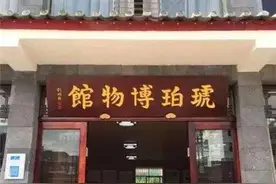 腾冲有家博物馆藏一块琥珀，琥珀中有只带牙的鸟，它是最小的恐龙图片