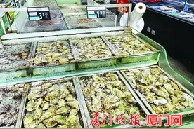 带壳生蚝“走”进厦门部分超市，轻松开蚝的小诀窍来啦图片