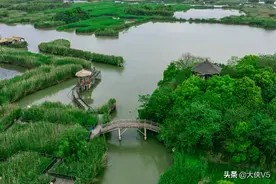 五一去哪玩？来中国最美湿地下渚湖，距离杭州约1小时车程图片