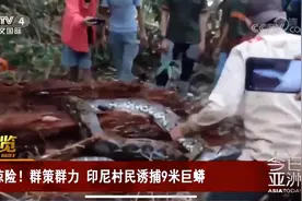 惊险！印尼村民诱捕9米长巨蟒，世界上最大的蛇是什么？有多长？图片