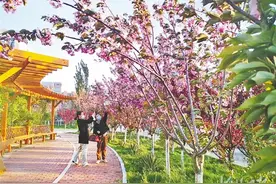 【关注】唐山高新区背街小巷整治显成果图片