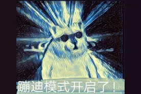爆火的MUR猫，总想和它深情对视图片