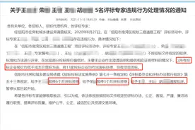 13家投标单位废标！项目流标，评标专家被通报批评图片