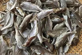 这种海鲜1斤5块，营养又美味，碰到别手软，买到就是赚到图片
