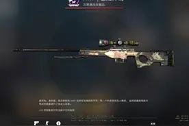 CSGO：买了就卖不出去？这些皮肤都值上千块，可惜却太难出手图片