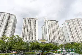 2019年罗湖最火楼盘，200万上车小两房图片