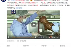 一个头上千元，世界最大鹅就在广东潮汕，一年产值30亿图片