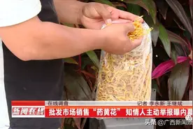 黄花菜真的“凉凉”了？商家指着记者手中的黄花菜，说这肯定被违禁药粉泡过图片