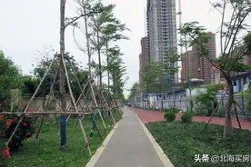 2021暑期北海看房参考(6)：银滩西区道路大变房价小变图片
