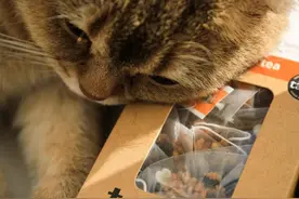 北京入冬必备 · 我想喝掉这只猪图片