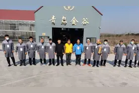 中国信鸽公棚鸽王排名赛（秋赛）——青岛金谷站绝杀关精彩上演图片