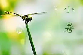 二十四节气之小暑诗词图片