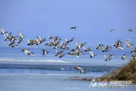 8处湿地上榜！首批自治区重要湿地名录公布图片