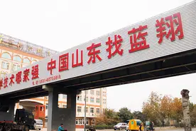 ​蓝翔技校校长：跨省打群架，将妻女送入监狱，最后被反将一军图片