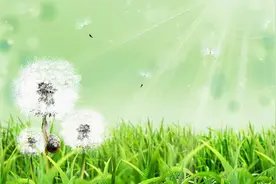 花知道，风曾经来过图片