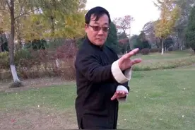 山西形意拳名师宋存旺先生演练的形意五行拳图片