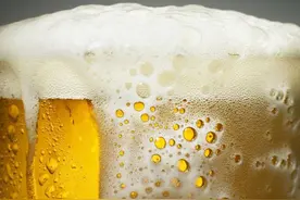 连生啤、熟啤、鲜啤、精酿都分不清楚，还喝什么啤酒图片
