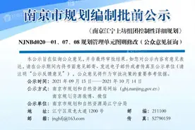 南京江宁青龙山国际生态新城规划有变图片