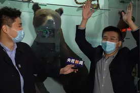 自然博物馆奇妙之旅Vlog丨野外遇到熊，装死有用吗？你想知道的“冷知识”这里都有图片