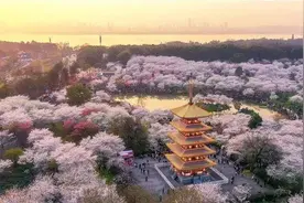 疫情中，被优待的外国人与不同待遇的湖北人图片