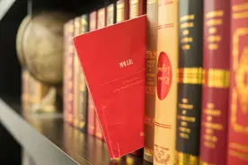 极限正义：刑事法与生俱来的追求图片