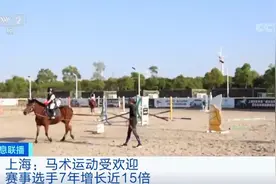 惊呆！买一匹马便宜的也要30万元，下一个风口，“马”上来？图片