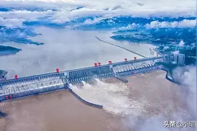 三峡水库拦坝20多年，是鱼类生存的乐园，库中的鱼能长到多大？图片
