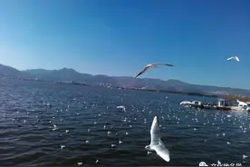 云南民族语地名呈现怎样的分布格局？图片