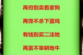 你喂狗三日，它记住你三年图片
