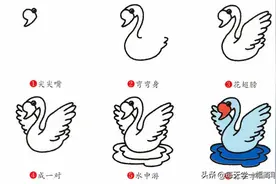 每天学一幅简笔画-天鹅动物简笔画步骤图片大全图片
