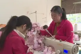 邓州：加工一个玩具才一毛二，却也让她走上致富路图片