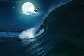 涨潮退潮的原因是什么？大量涌向岸边的海水，退潮后又去了哪儿？图片