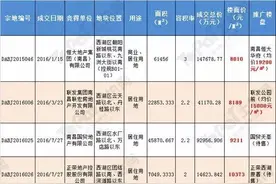 解密丨南昌5大富人区曝光！为什么这些区域房价最贵？图片