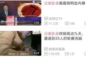 正在消失的卧底记者，比熊猫还稀有图片