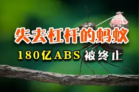 失去了14倍杠杆，蚂蚁集团还剩下什么？图片