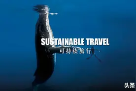 世界海洋日 | 被大海治愈后，我们该来守护海洋了图片