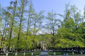 学生毕业率及授位率100%、赴985硕博连读！四川这个专业“超硬核”！图片