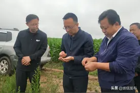 【要闻】杨聪督查调研全县风雹洪涝受灾情况图片