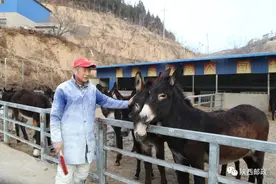 助力乡村振兴，邮政能做什么？这篇文章告诉你答案图片