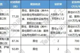 合肥运河新城土拍再燃！龙湖璟宸天著价值大爆发！图片