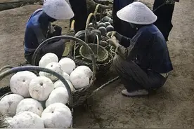 百年前廊坊是何模样？街道小贩的南瓜个头大，八国联军在杨村布防图片
