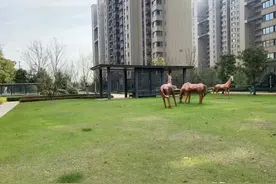 昔日地王，交付后品质备受认可！二手房成交不多，却颇有潜力图片