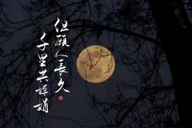月是故乡明，红豆最相思图片